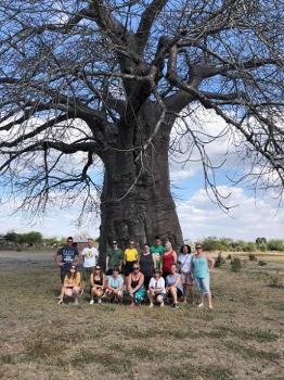 An image of the group who visited Malawi in 2013 under a tree