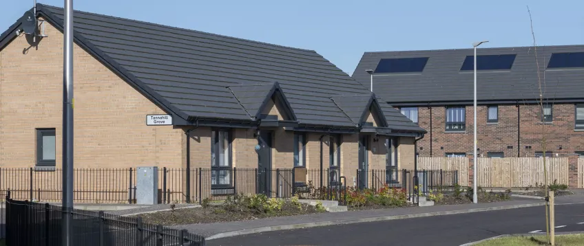 New houses and a new road in front of them, with some plants in front of them and some grass and a newly planted tree.