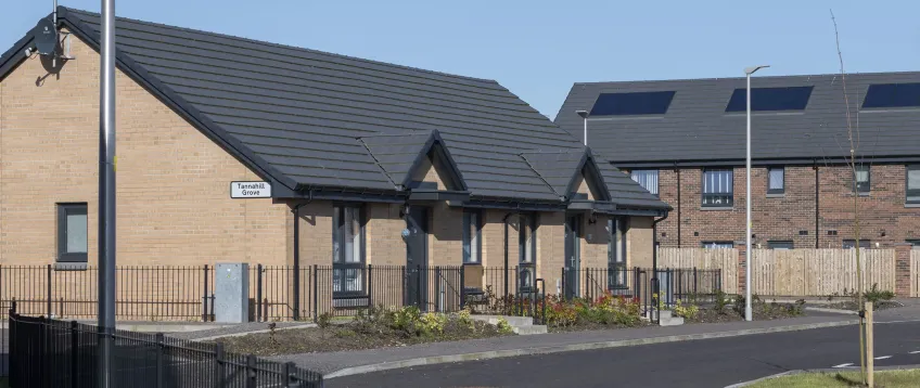 New houses and a new road in front of them, with some plants in front of them and some grass and a newly planted tree.