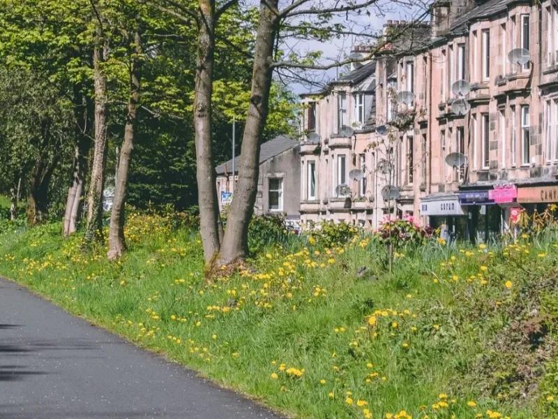 Walking path beside trees and grass with a row of houses behind them in Bridge of Weir.
