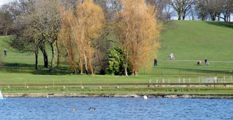 Barshaw Park showing the pond with trees and a grassy slope behind the pond.