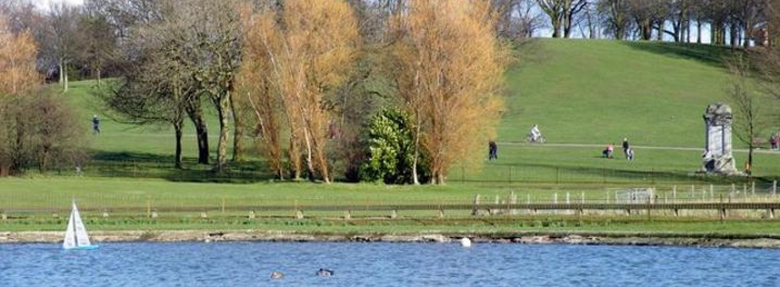 Barshaw Park showing the pond with trees and a grassy slope behind the pond.