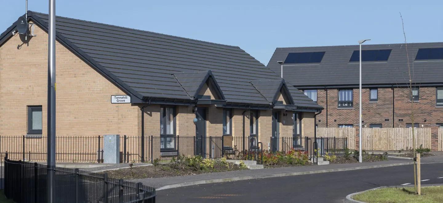 New houses and a new road in front of them, with some plants in front of them and some grass and a newly planted tree.
